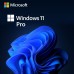Microsoft Windows 11 Professional (ESD)