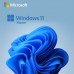 Microsoft Windows 11 Home (ESD)